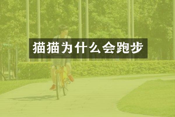 猫猫为什么会跑步