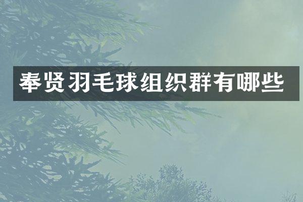 奉贤羽毛球组织群有哪些