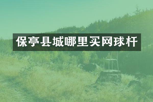 保亭县城哪里买网球杆