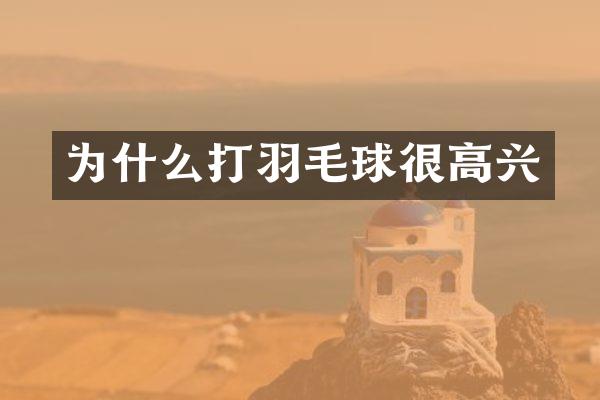 为什么打羽毛球很高兴