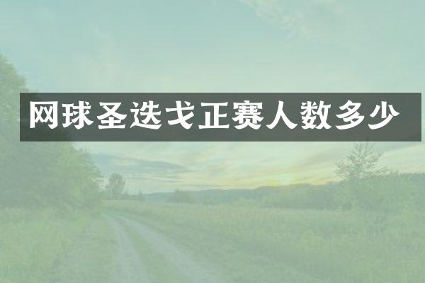 网球圣迭戈正赛人数多少