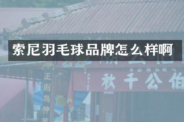 羽毛球品牌怎么样啊