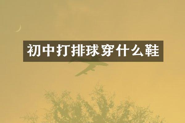 初中打排球穿什么鞋