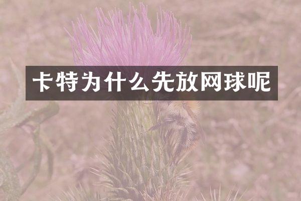 卡特为什么先放网球呢