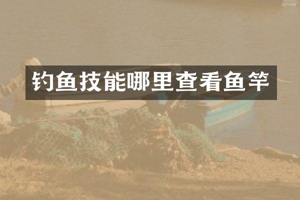 钓鱼技能哪里查看鱼竿