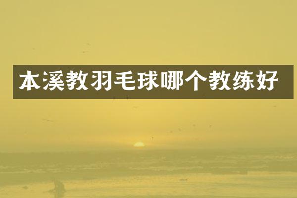 本溪教羽毛球哪个教练好