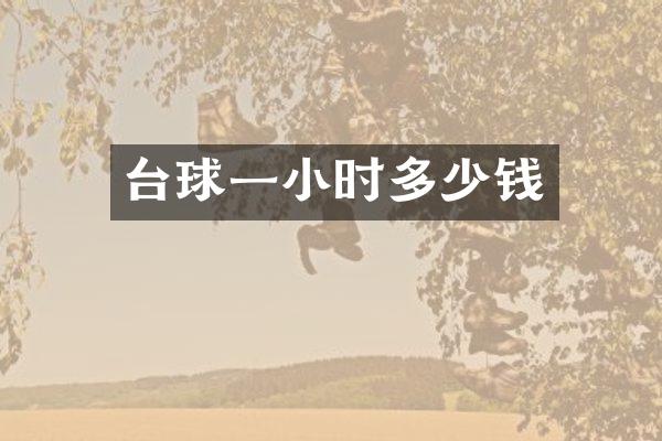 台球一小时多少钱
