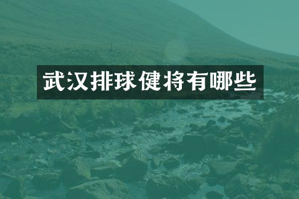 武汉排球健将有哪些