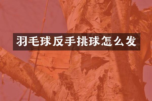 羽毛球反手挑球怎么发