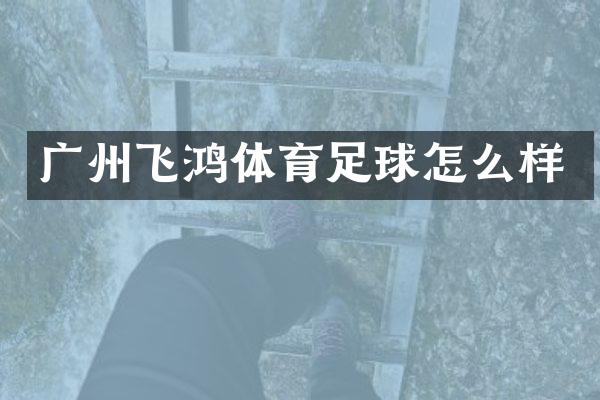 广州飞鸿体育足球怎么样