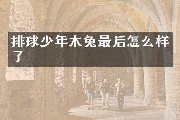 排球少年木兔最后怎么样了