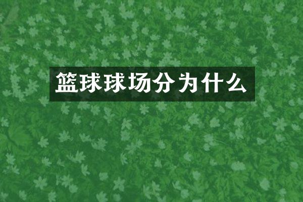 篮球球场分为什么