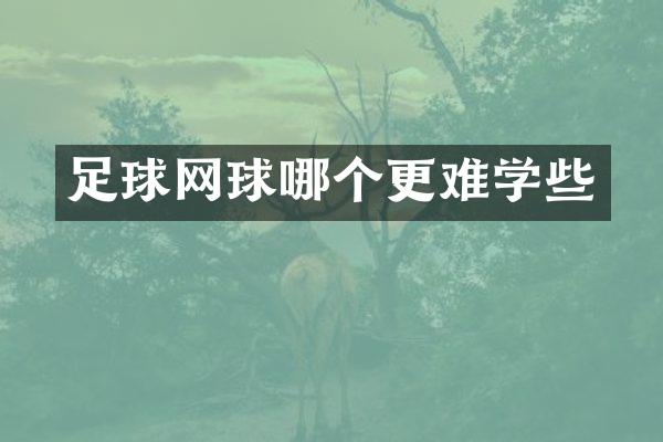 足球网球哪个更难学些