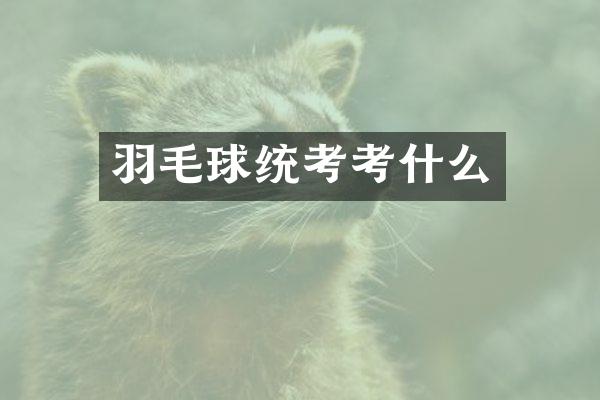 羽毛球统考考什么