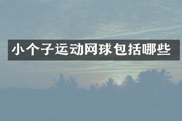 小个子运动网球包括哪些