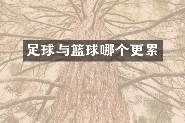 足球与篮球哪个更累