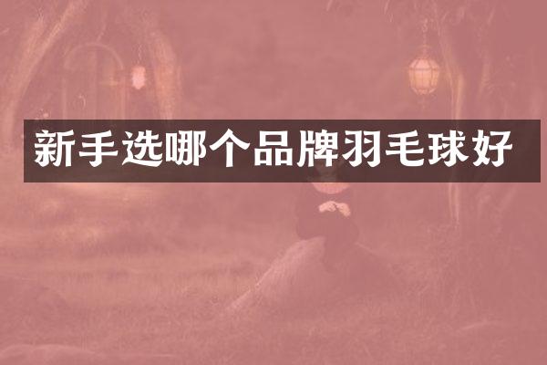 新手选哪个品牌羽毛球好