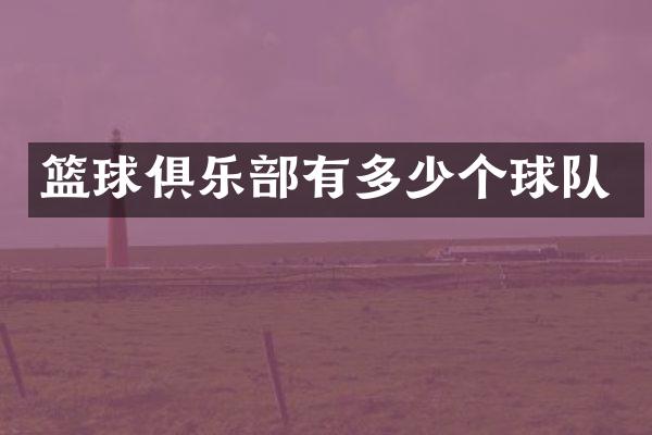 篮球俱乐部有多少个球队