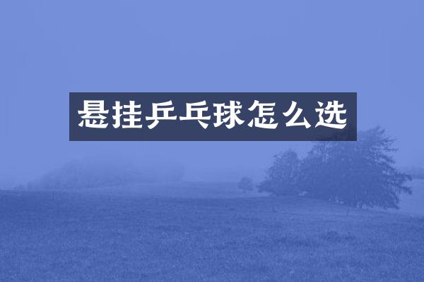 悬挂乒乓球怎么选