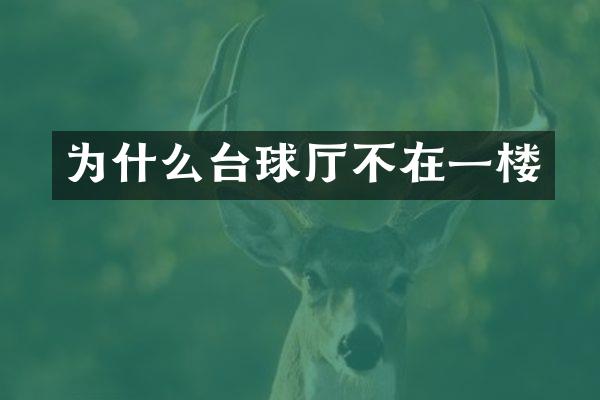 为什么台球厅不在一楼