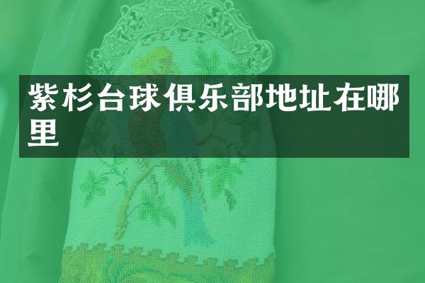 紫杉台球俱乐部地址在哪里