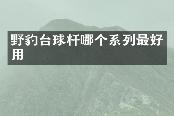 野豹台球杆哪个系列最好用
