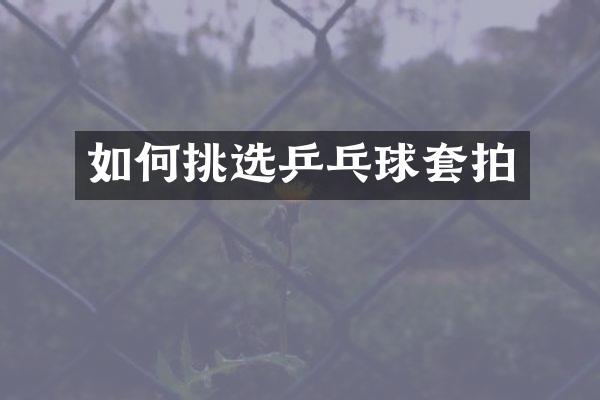 如何挑选乒乓球套拍