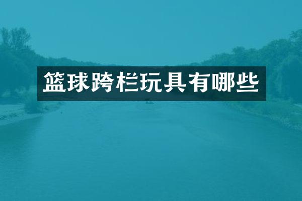 篮球跨栏玩具有哪些