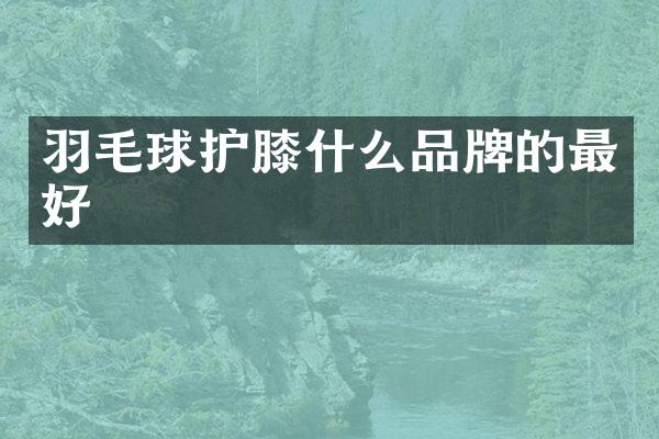 羽毛球护膝什么品牌的最好