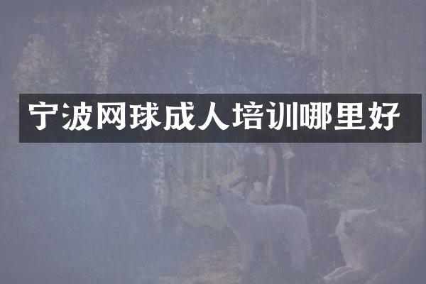 宁波网球成人培训哪里好