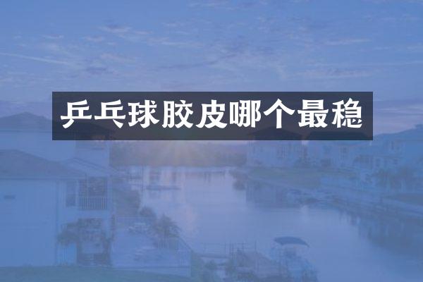 乒乓球胶皮哪个最稳