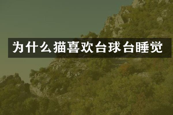 为什么猫喜欢台球台睡觉