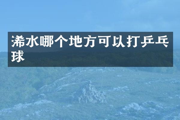 浠水哪个地方可以打乒乓球