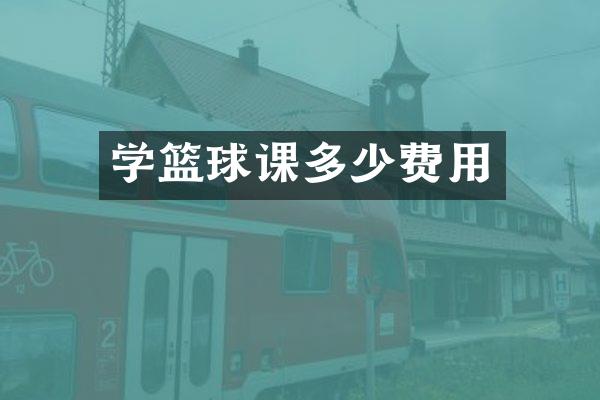 学篮球课多少费用