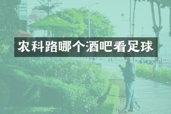 农科路哪个酒吧看足球
