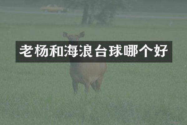 老杨和海浪台球哪个好