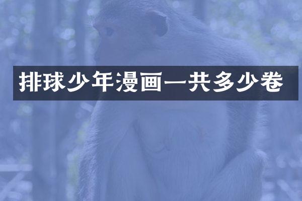 排球少年漫画一共多少卷