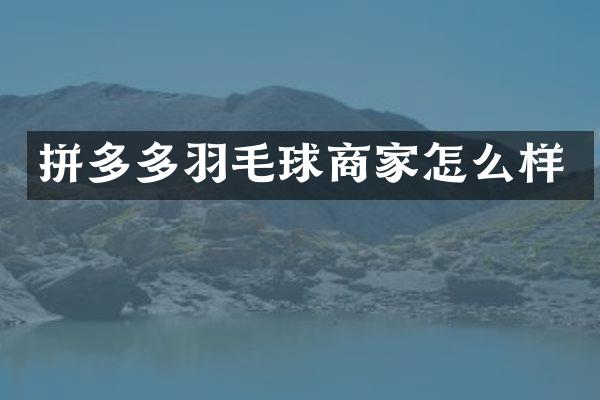 拼多多羽毛球商家怎么样
