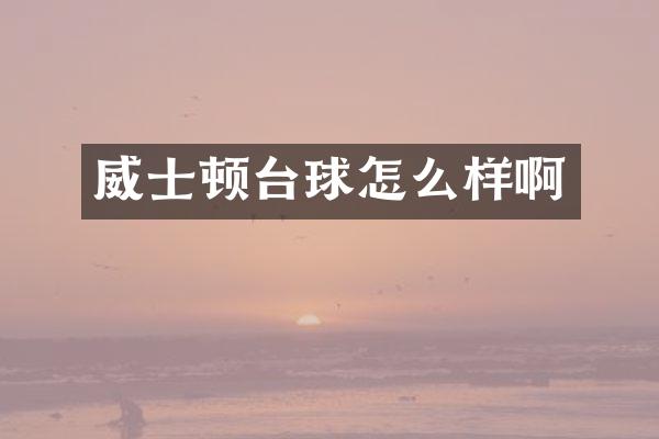 威士顿台球怎么样啊