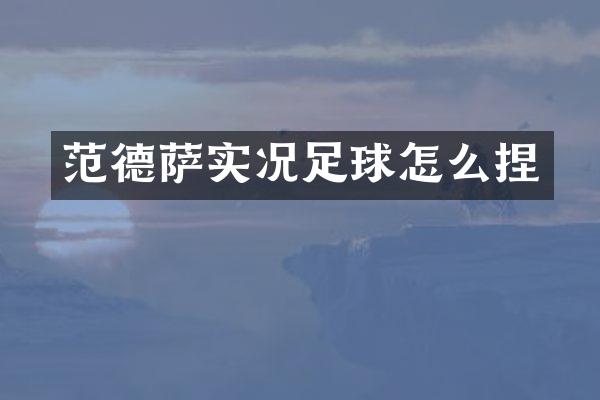 范德萨实况足球怎么捏