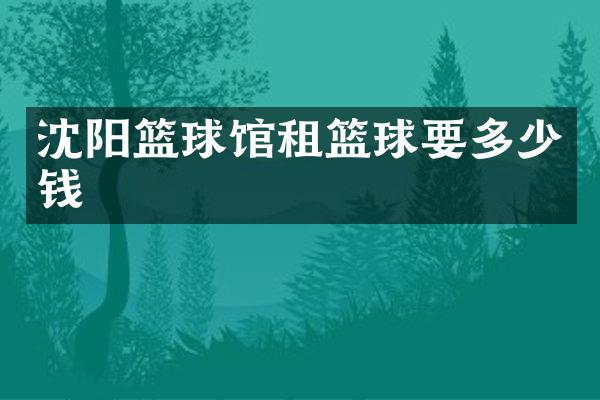 沈阳篮球馆租篮球要多少钱