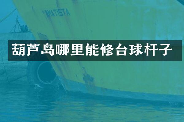 葫芦岛哪里能修台球杆子