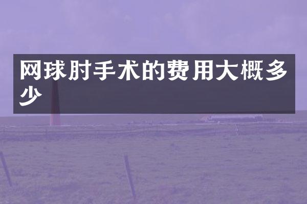 网球肘手术的费用大概多少