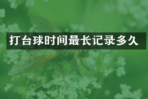 打台球时间最长记录多久