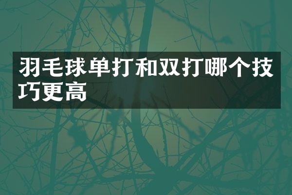 羽毛球单打和双打哪个技巧更高