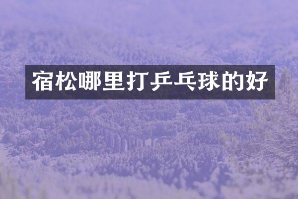 宿松哪里打乒乓球的好