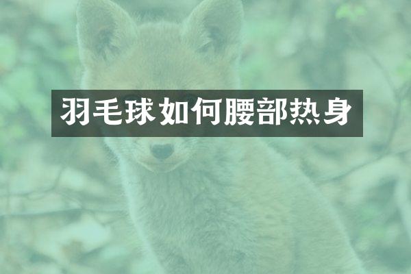 羽毛球如何腰部热身