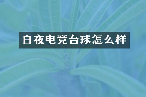 白夜电竞台球怎么样