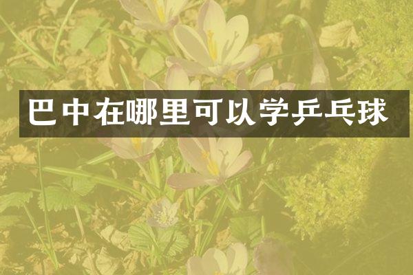 巴中在哪里可以学乒乓球