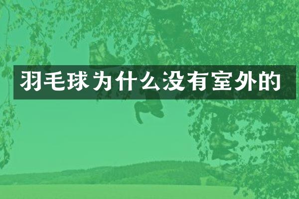 羽毛球为什么没有室外的